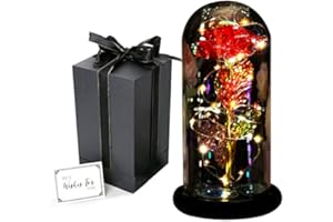 GIIFER Women Gifts for Mom from Daughter, Light up Galaxy Rose Artificial Flower Rose Gift Beauty and The Beast Rose Birthday Gifts for Her Forever Glass Rose Love Gifts for Wedding Anniversary (Red)