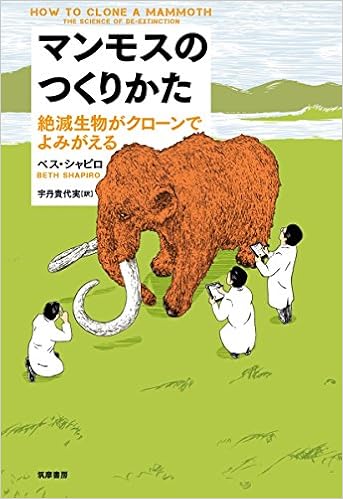 アマゾン