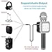 Shendong Wireless Bluetooth Karaoke Microphone with Built-in Speaker for Kids/Adults/Solo/Individual Singing/Small Party/Home KTV