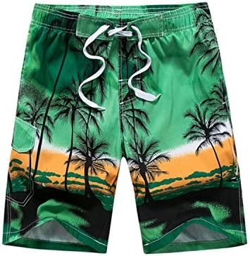 Men's Casual Printed Beach Board Shorts Hawaiian Quick Dry Swim Trunks with Mesh Lining