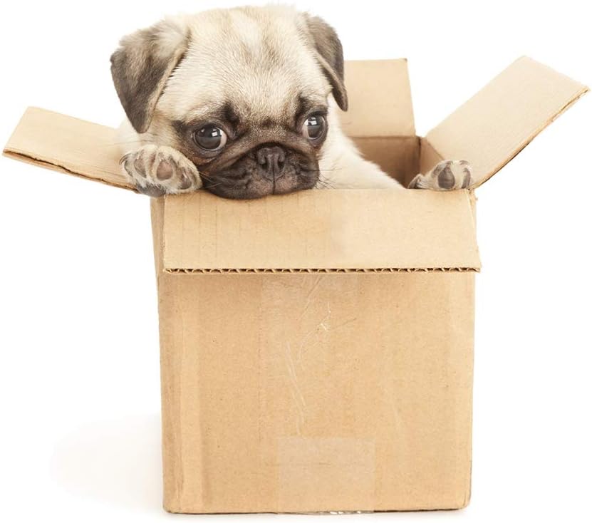 EdenseeLake Shipping Boxes Small 5 x 5 x 5 inches Cardboard Boxes, 25 Pack : Office Products