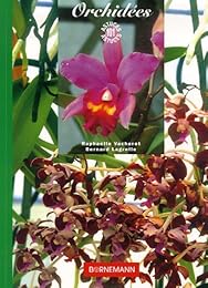 Orchidées