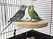 MINORPET Wood Perch Platform Stand for Small Animals Pet Cage Accessories Bird Parrot African Grey Parakeet Conure Cockatiel Budgie Gerbil Rat Mouse Chinchilla Hamster Exercise Toythumb 2