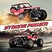 RC Car for Kids, 1:18 Remote Control Car Electric Racing Car Off Road, High-Speed Off Road Desert Buggy Vehicle 2.4Ghz 2WD Electric Racing Car