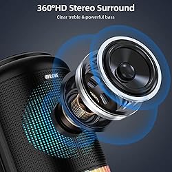 Portable Karaoke Machine with Microphone