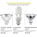 MR16 LED Light Bulbs with GU5.3 Base 12V AC/DC 40W Equivalent Halogen Replacement Warm White 4W Spotlight with 400 Lumen 6 Packs