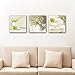 Wieco Art 3 Piece Floral Giclee Canvas Prints Wall Art Elegant Life Pictures Paintings for Living Room Kitchen Bathroom Home Decor Large Modern Gallery Wrapped Contemporary Pretty Flowers Artwork L