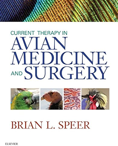 Download Current Therapy in Avian Medicine and Surgery - E-Book (English Edition) PDF