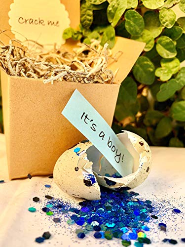 Surprise Gender Reveal Quail Eggs - It's a Boy!