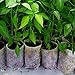 500 pcs Seedling Plant Grow Bags, Biodegradable Non-Woven Nursery Fabric Seeding Starting Fiber Soil Transplant Pouches, Home Garden Supply (300Pcs)thumb 3
