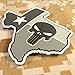 LEGEEON Glow Dark ACU Texas Lone Star DEVGRU PVC Rubber Morale Touch Fastener Patch
