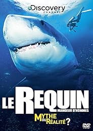 Le Requin Mangeur D'hommes : Mythe Ou Réalité ?