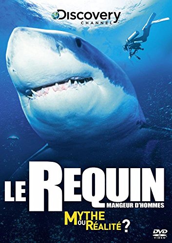 Le Requin Mangeur D'hommes : Mythe Ou Réalité ?