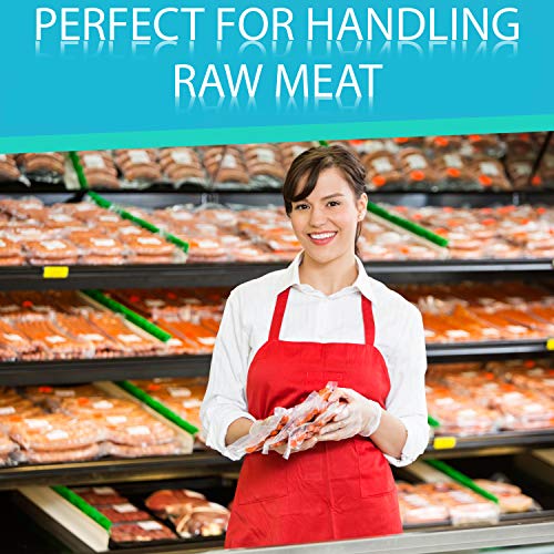 2000 Disposable Food Service Handling and Prep Poly Gloves for Cooking