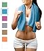 Raqpak Microfiber Towel for Travel, Gym, Camping - Small and Compact, Antibacterial and Quick Dry with Small Carry Pouch (Blue, 40 X 20 Inches)