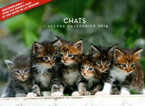 Agenda chats 2014