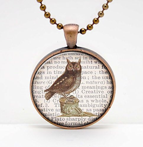 Owl Standing on a Tree Stump on a Dictionary Page Background Art Glass Pendant or Key Chain - 30 mm round- Chain Included- Made to Order
