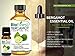 BioFinest Bergamot Oil - 100% Pure Bergamot Essential Oil - Premium Organic - Therapeutic Grade - Best For Aromatherapy - Relieve Cold - Reduce Headache - FREE Essential Oil Guide (10ml)