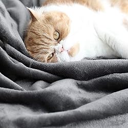 TASTHROW Large Flannel Fleece Throw Blanket, 50×70