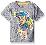 Paw Patrol  Toddler Boys' Short Sleeve T-Shirt Shirt, Grey, 5T