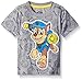 Paw Patrol  Toddler Boys' Short Sleeve T-Shirt Shirt, Grey, 5T