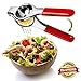 O'Citron Lemon Squeezer Stainless Steel, Lime Juicer with Ergonomic Silicone Handles, Manual Citrus Press Premium Quality