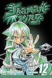 Shaman King, Vol. 12 (v. 12)