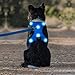 DOMIGLOW LED Dog Harness - Light Up Dog Harness, Rechargeable No-Pull Safety Vest for Night Walking & Camping (Blue, Large)