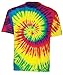Tie Dye Mania Adult Classic Retro Swirl Tie-Dye Short Sleeve T-Shirt - Large