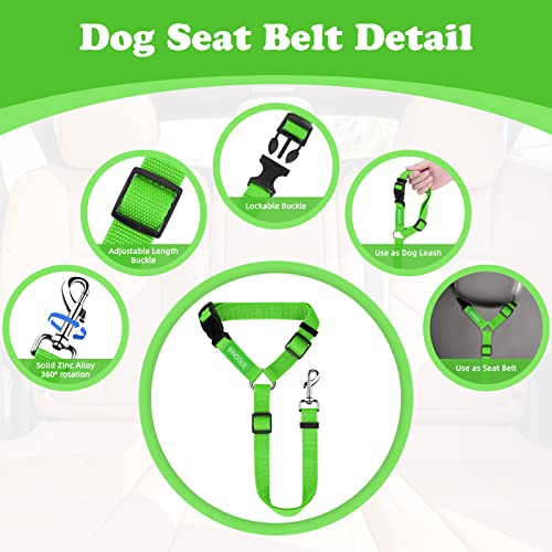 View 3