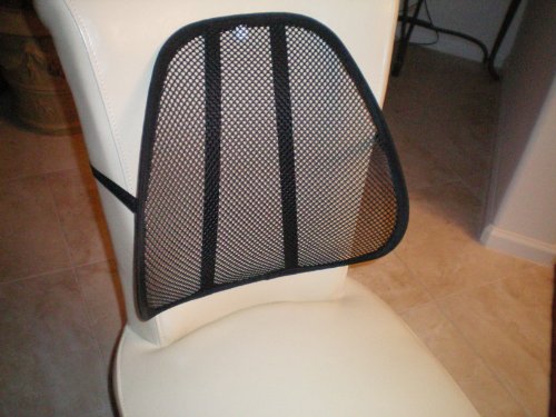 UPC 815873010045, Mesh Back Lumbar Support