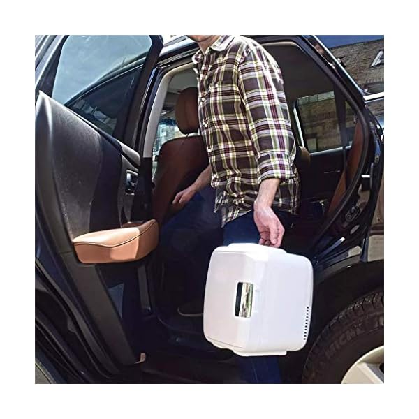 YANJ 4L Portable Car Fridge Electric Cooler And Heater 12V for Truck Boat Travel Party Picnic Outdoor WKY