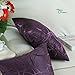 Throw Pillow Cases CaliTime Modern Shining Dull Contrast Circles Rings Geometric Cushion Covers Shells for Couch Sofa Home Decor 20 X 20 inch Pack of 2 Deep Purple