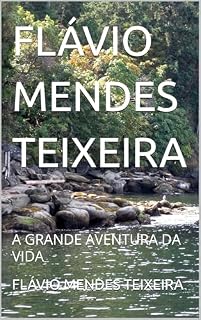 Livro FLÁVIO MENDES TEIXEIRA: A GRANDE AVENTURA DA VIDA