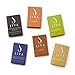 Jiva Cubes - Variety Coffee Sampler Gift Set - Colombian Coffee, Raw Sugar and Organic Extracts (Mocha, Caramel, French Vanilla, Hazelnut) No Creamer, Non-Refigerated, Vegan (6-Pack - 24 Servings)