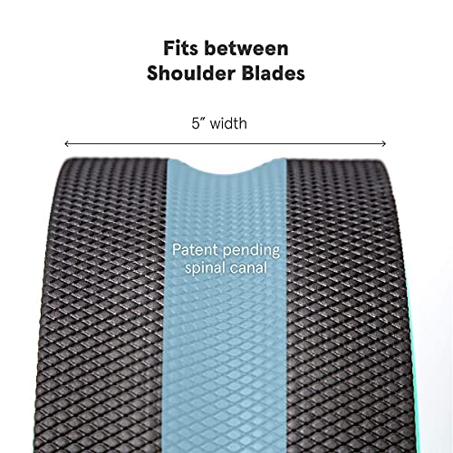 Chirp Wheel Back Stretcher w/SweatResistant Foam Padding, 12" Gentle