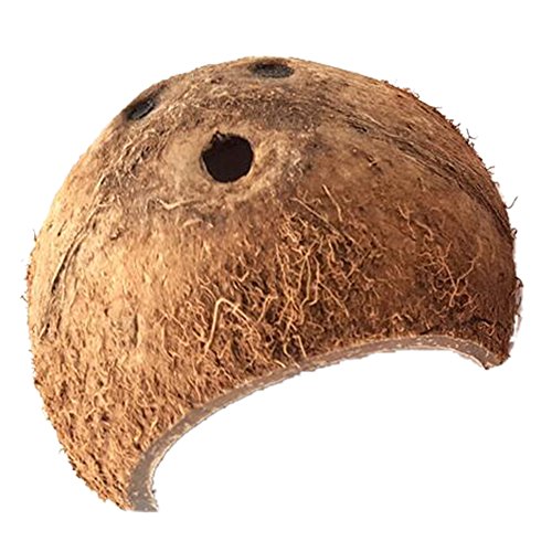 Buy Urijk Natural Coconut Betta Cave Natural Coco Shell Hut Habitat