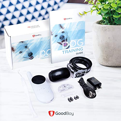 1 GoodBoy+Remote+Vibration+Behavior+Training