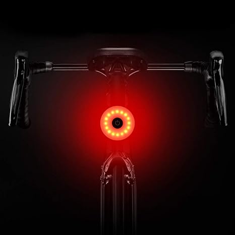 wasaga bike tail light