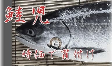 Amazon 鮭児 けいじ 1 8kg以上 もしくはキズあり2kg前後 三枚おろし 北海道知床産 知床三佐ヱ門本舗 鮮魚 通販