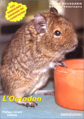 L' octodon ou Dègue du Chili