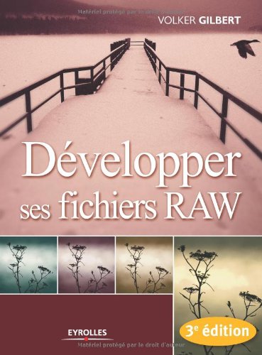 Download Développer ses fichiers RAW
