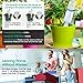 YEPLINS Automatic Plant Watering Devices,Self Watering Spikes for Indoor Plants(10 Packs)