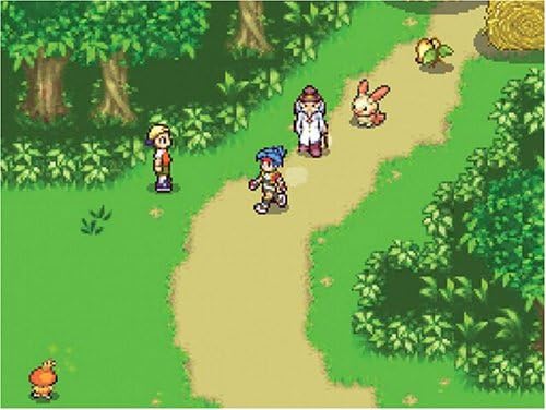 Pokemon Rangers: Diamond-Pearl e no Michi [Japan Import]: Amazon.com.au:  Video Games