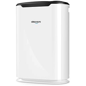 Okaysou AirMax8L Air Purifiers