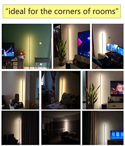 LED Floor Lamp Bedroom Modern Standing lamp with Remote Control dimmable Night Lights Corner Light for Living Room, 18W 1450lm