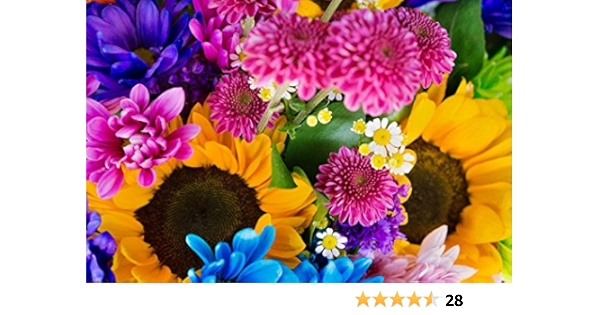 Earthly Flowers Heavenly Colors Text Amazon Com Books