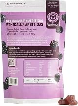 Vegums Super Iron Gummies - Vegan Iron Supplement - BlackBerry Flavor view 7