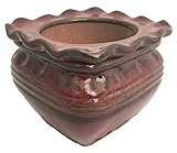 Scallop Square Self Watering Glazed Ceramic Pot - Oxblood - 5.3