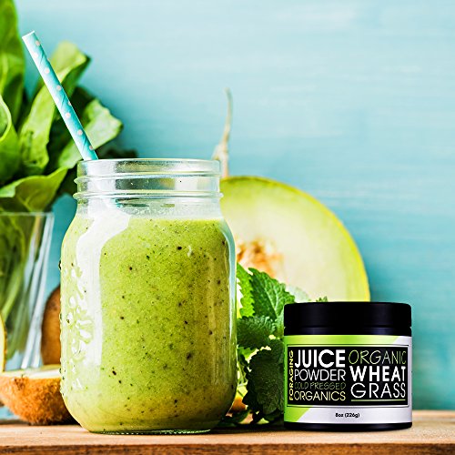 Foraging USDA Organic Wheat Grass Juice Powder (8 oz) Cold Pressed Wheatgrass
